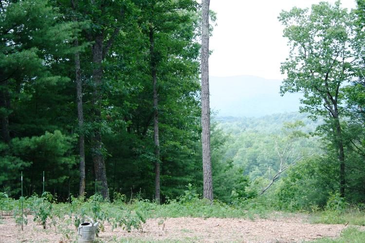 Mcdowell, Highland County, VA Farms and Ranches, House for sale