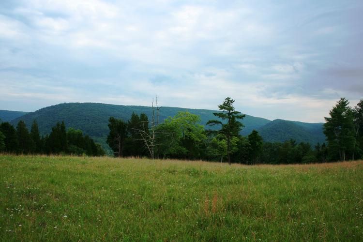 Franklin, Pendleton County, WV Farms and Ranches for sale Property ID