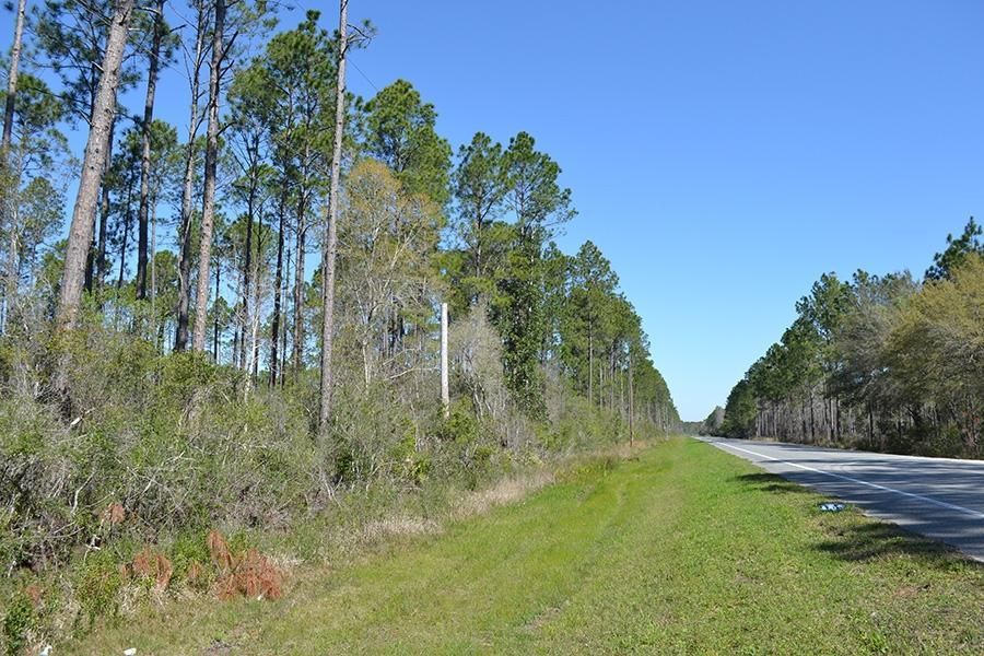 Gamble Road, Wacissa, FL 32344 LandWatch