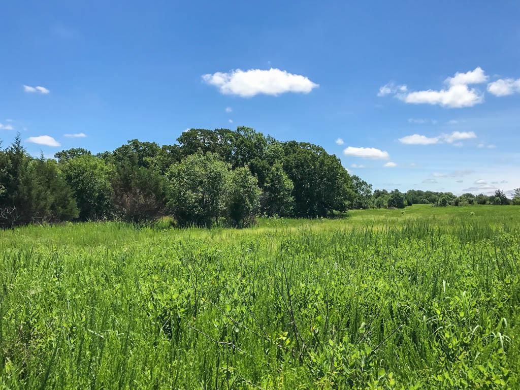 Asher, Pottawatomie County, OK Recreational Property, Hunting Property