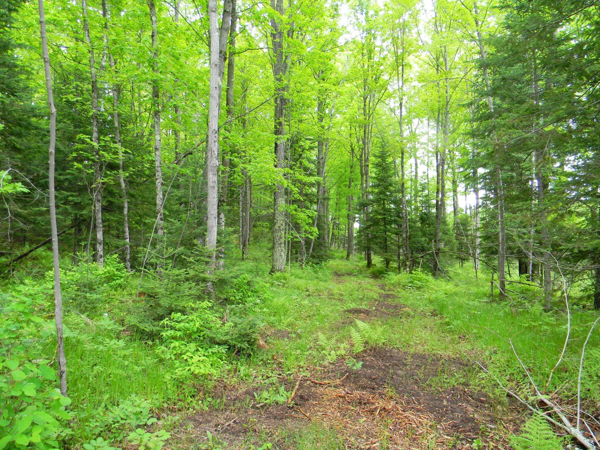 Amberg, County, WI Recreational Property, Timberland Property