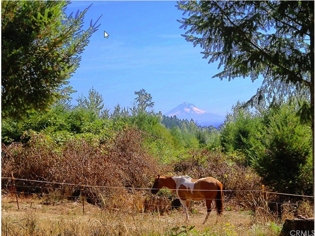 Oregon City, Clackamas County, OR Undeveloped Land for sale Property ID