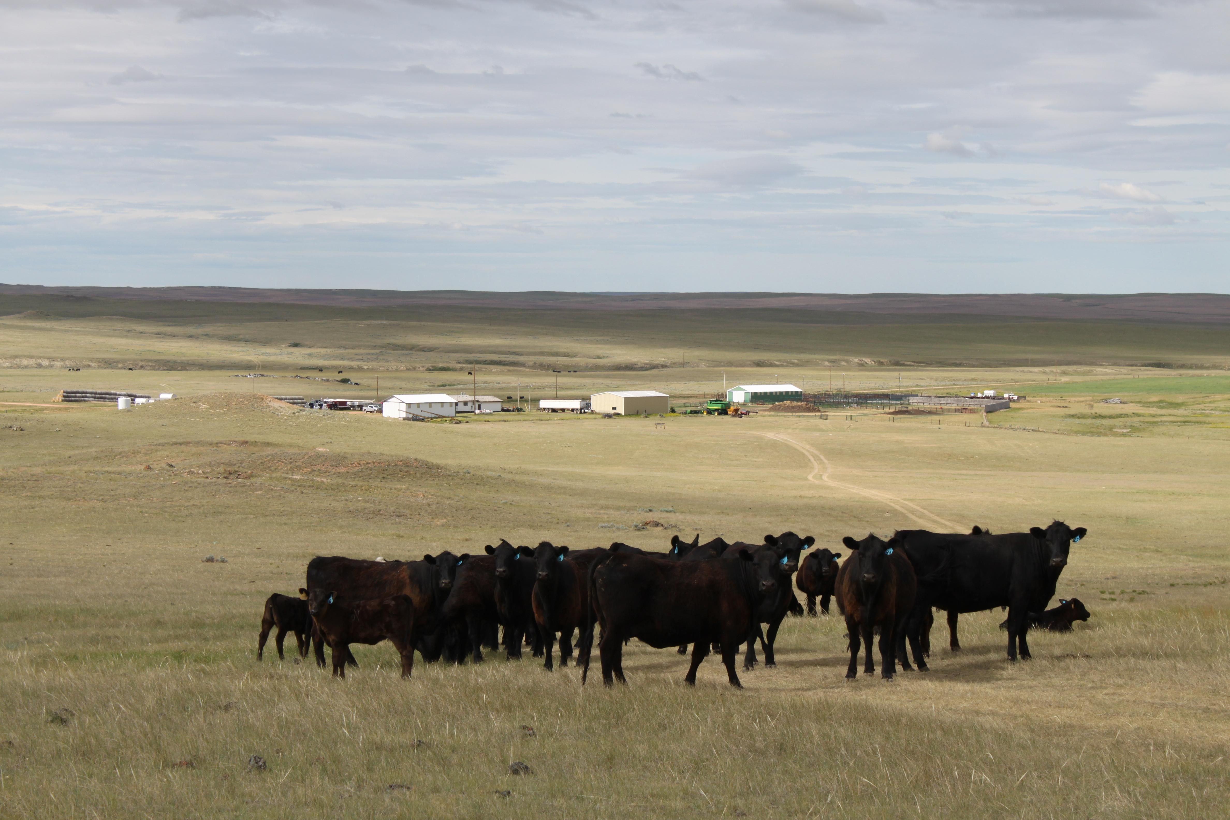 12,527 acres in Cohagen, MT, 59322 LandWatch