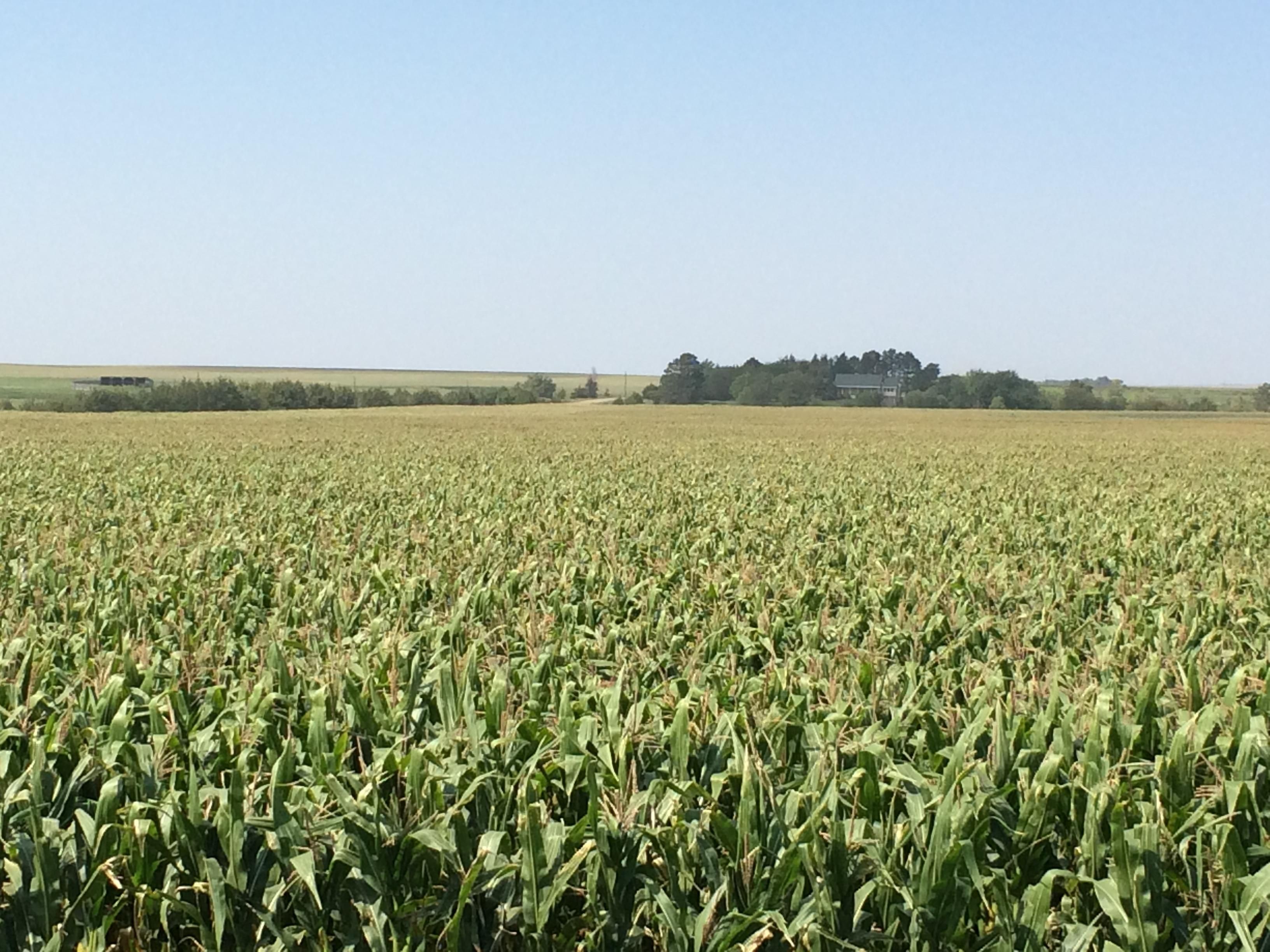 Pierre, Hughes County, SD Farms and Ranches for sale Property ID