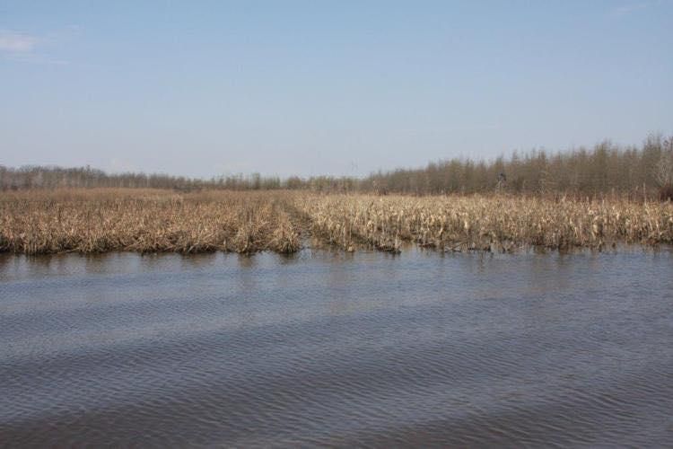 Marianna, Lee County, AR Farms and Ranches, Recreational Property