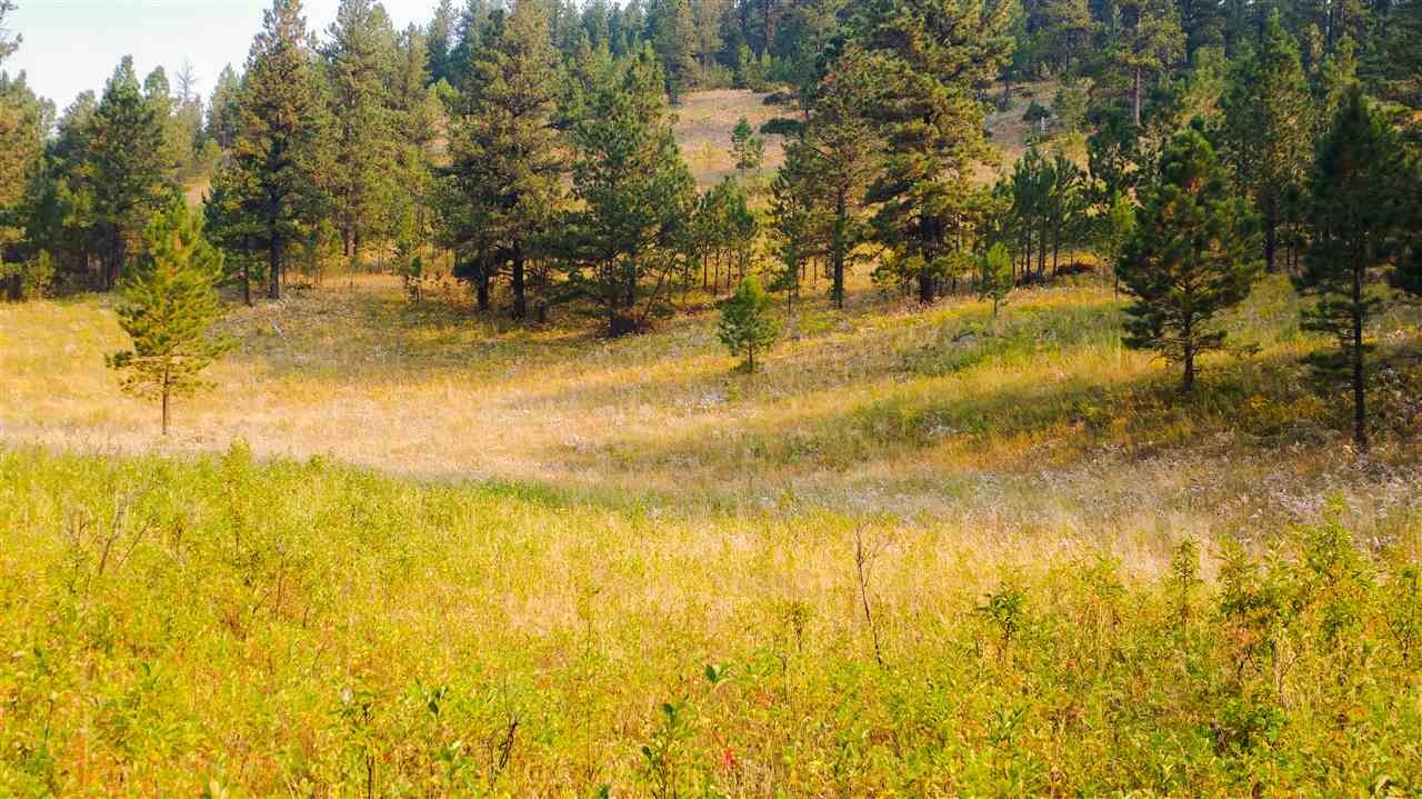 Forest Grove, Fergus County, MT Farms and Ranches for sale Property ID