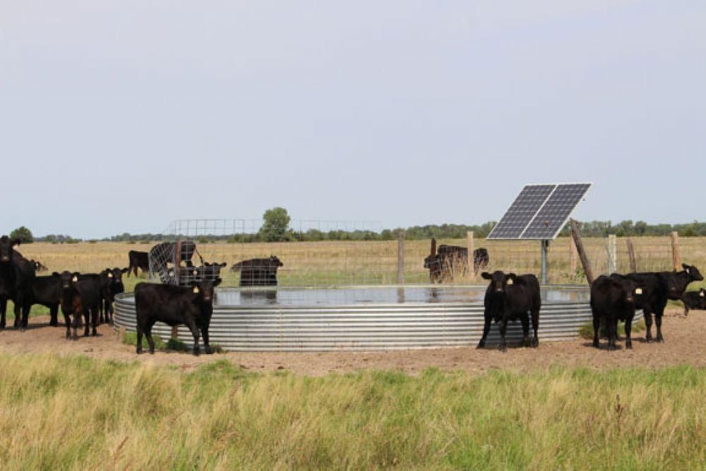 Newport, Rock County, NE Farms and Ranches for sale Property ID 403128384 LandWatch