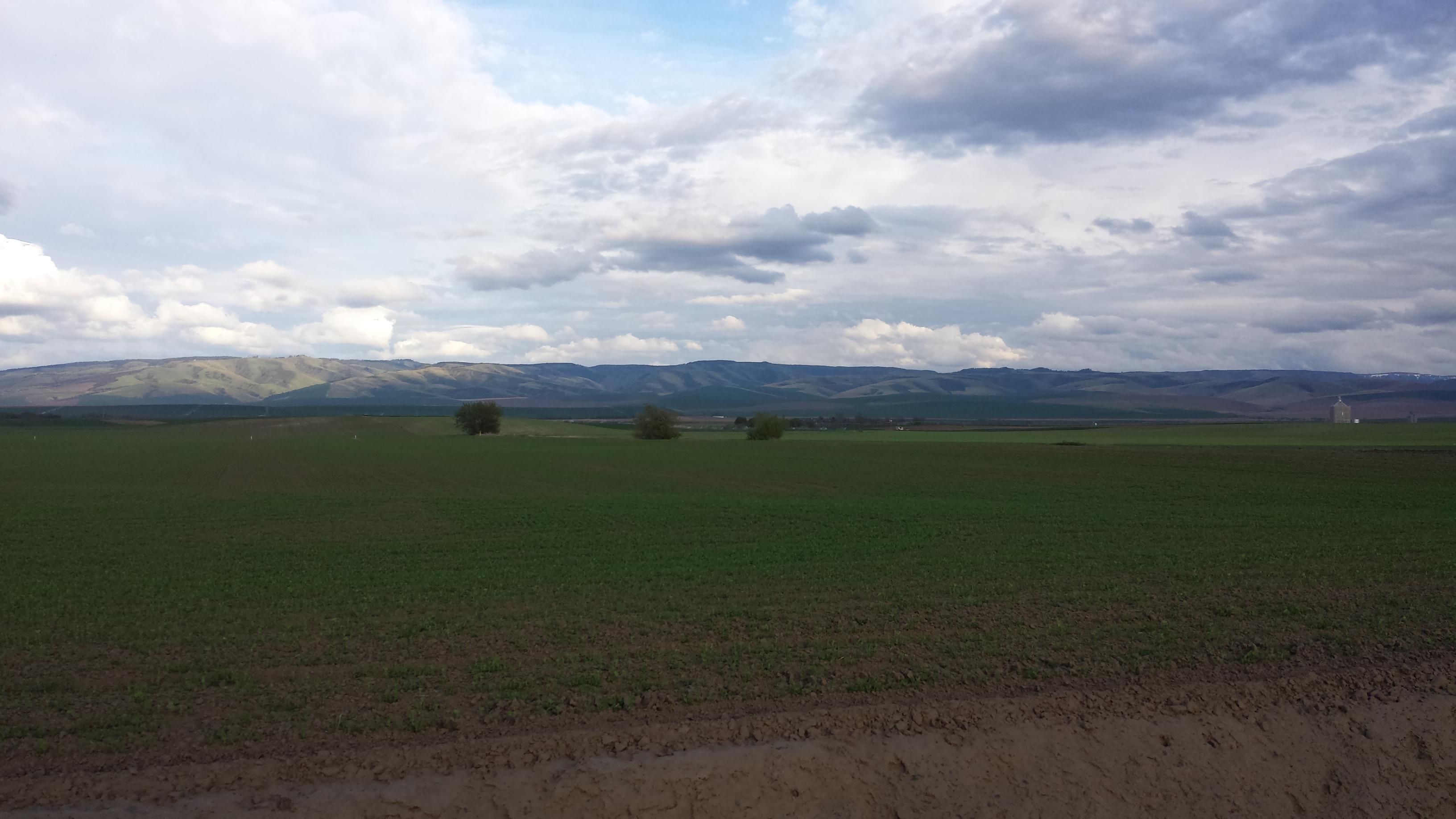 Milton Freewater, Umatilla County, OR Farms and Ranches for sale