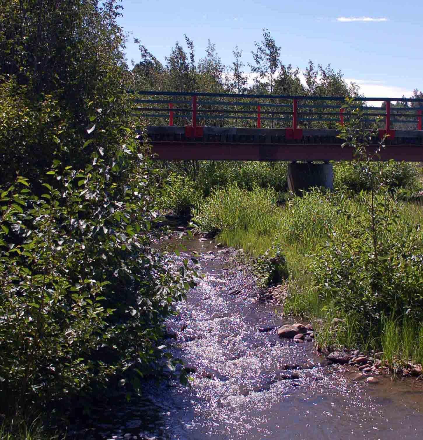 Tierra Amarilla, Rio Arriba County, NM Recreational Property