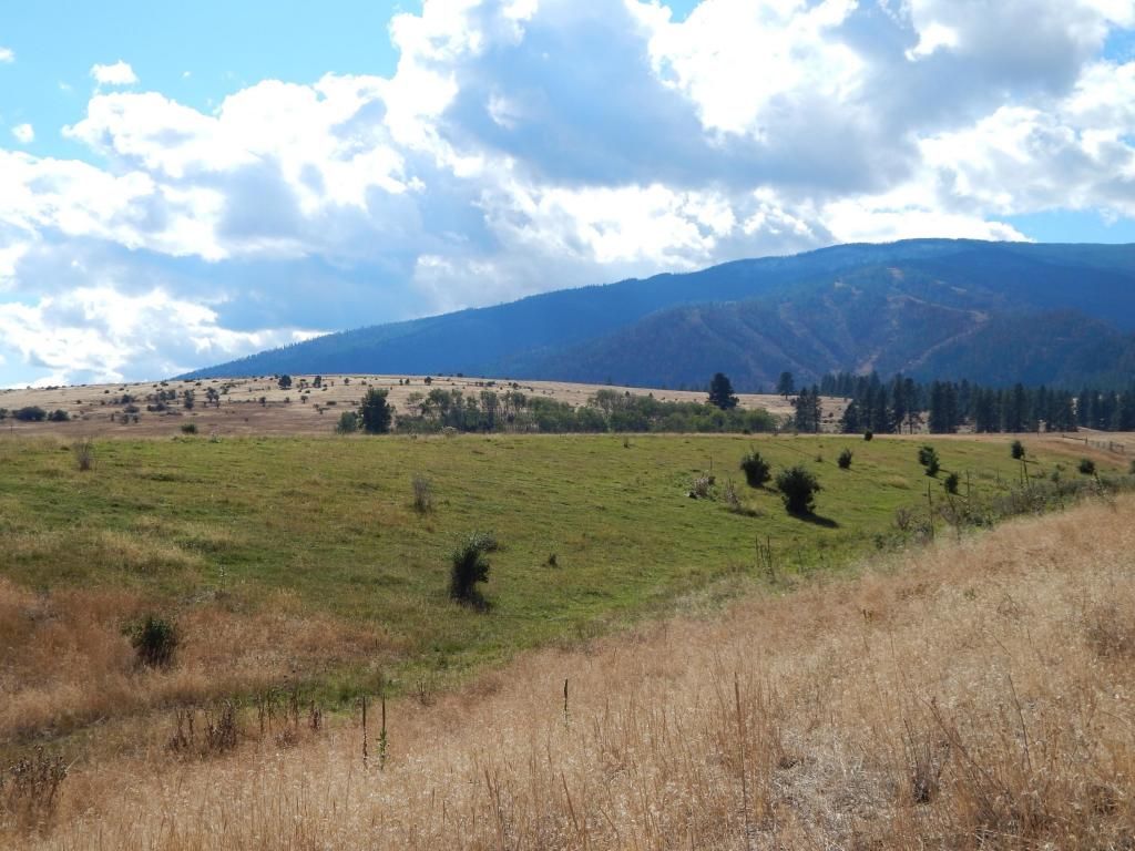 Florence, Missoula County, MT Undeveloped Land, Homesites for sale