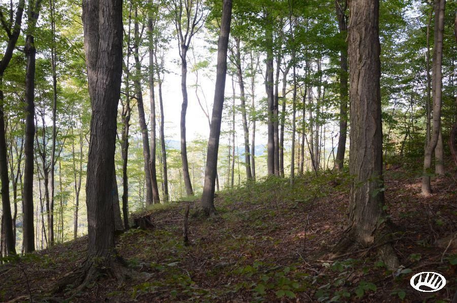 Rimer, Armstrong County, PA Farms and Ranches for sale Property ID