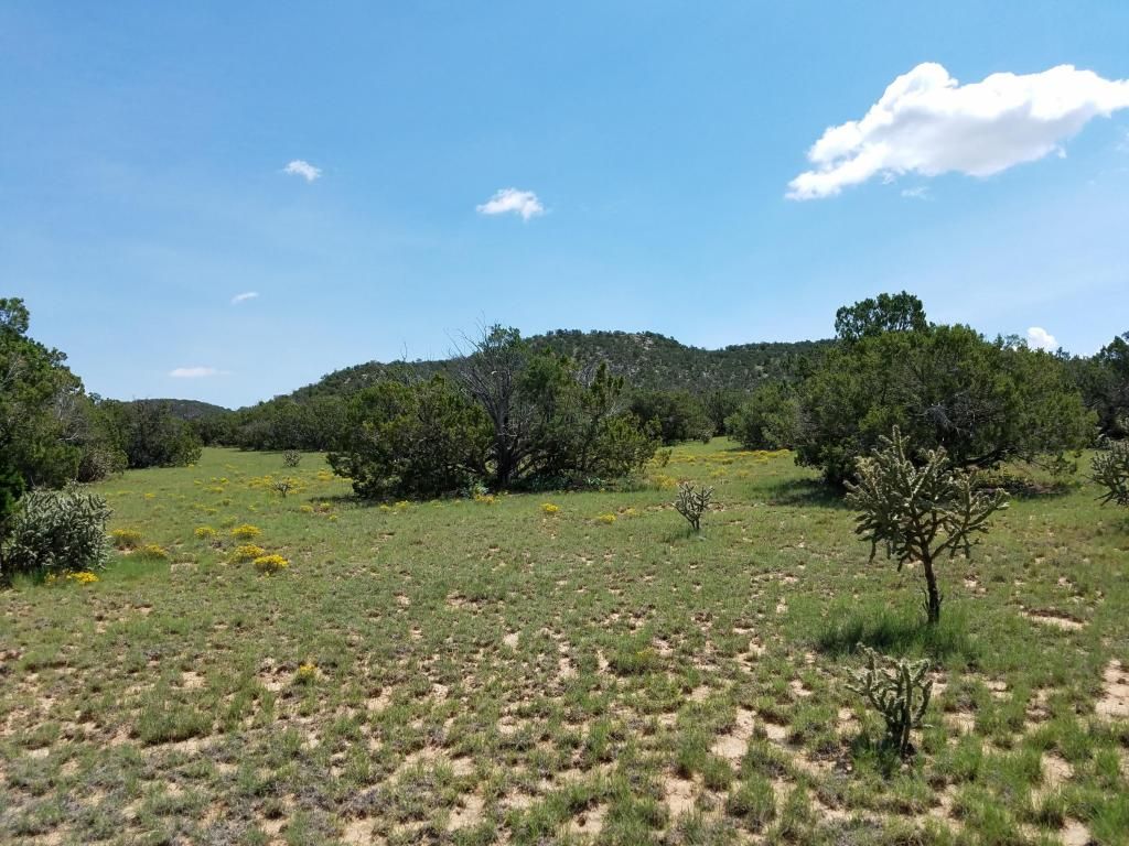 Mountainair, Torrance County, NM Undeveloped Land for sale Property ID 327454632 LandWatch