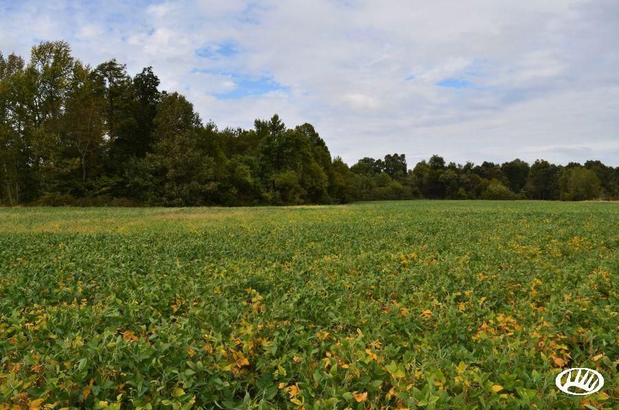 Brookport, Massac County, IL Farms and Ranches for sale Property ID