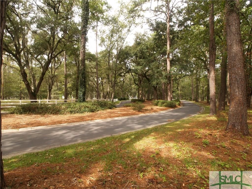 Richmond Hill, Bryan County, GA Undeveloped Land, Homesites for sale