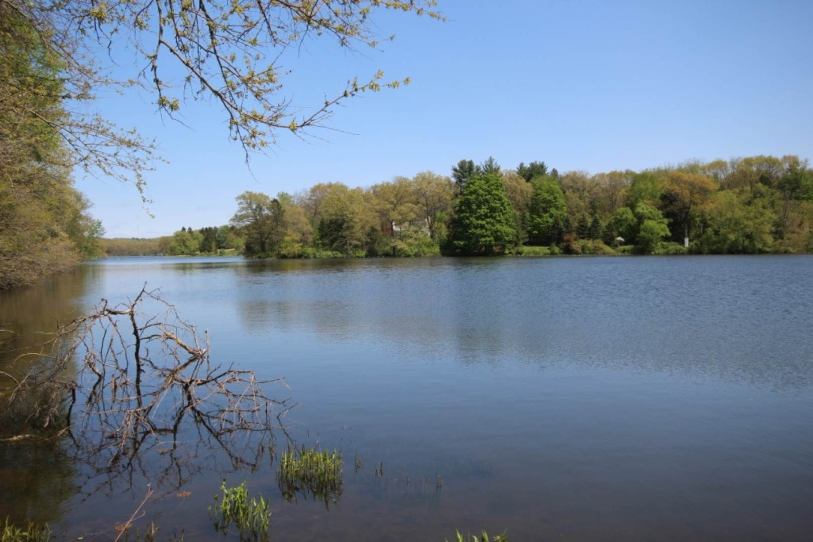 Dowagiac, Cass County, MI Undeveloped Land, Lakefront Property