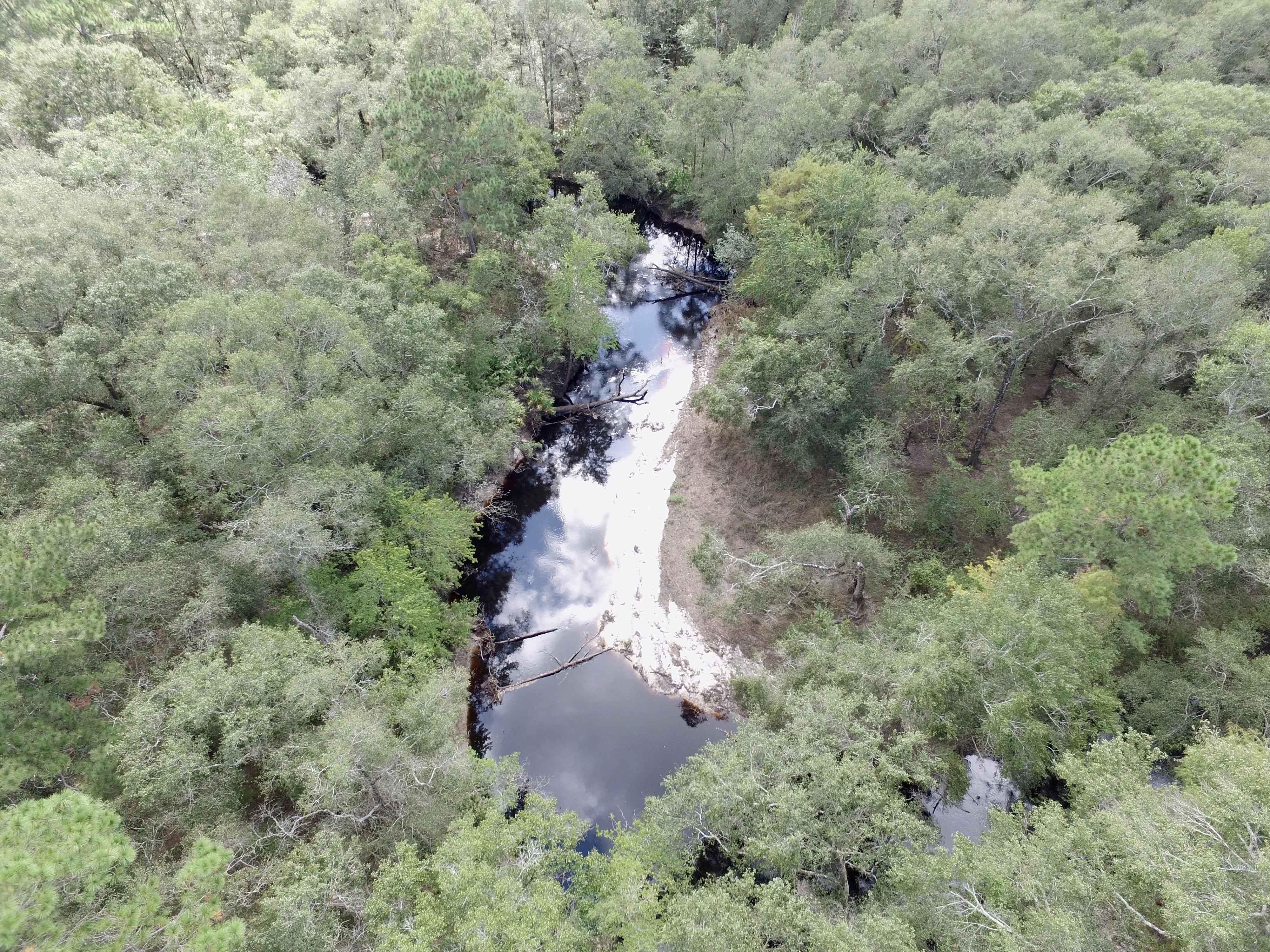 Blackshear, Pierce County, GA Recreational Property, Timberland