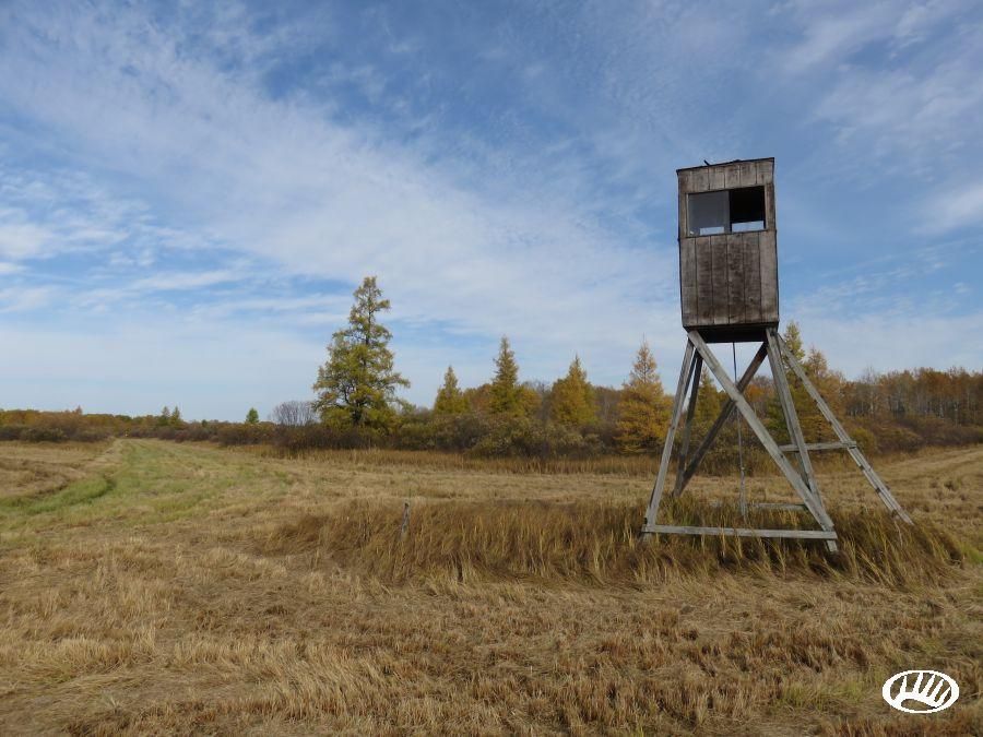 Strathcona, Roseau County, MN Farms and Ranches for sale Property ID