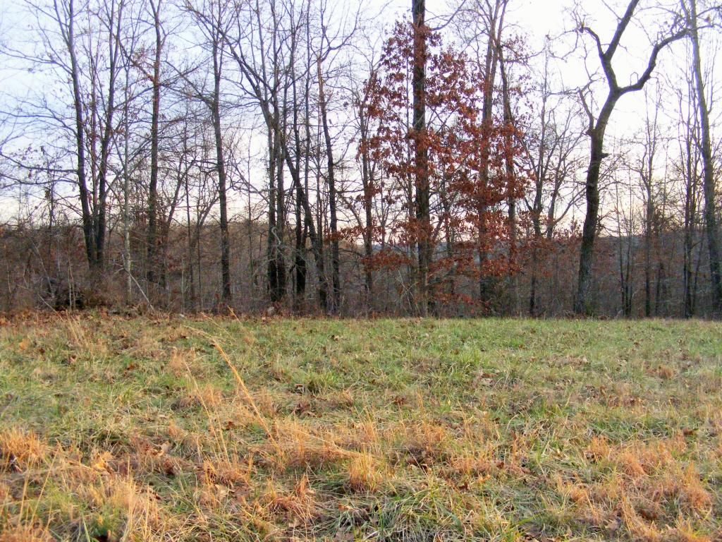 Bruner, Christian County, MO Undeveloped Land for sale Property ID