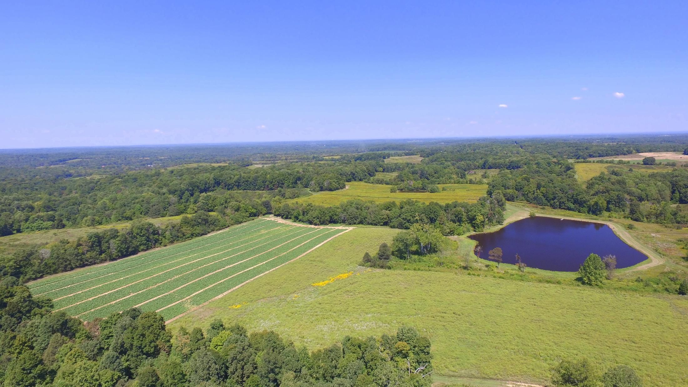 Charlotte, Dickson County, TN Farms and Ranches, House for sale
