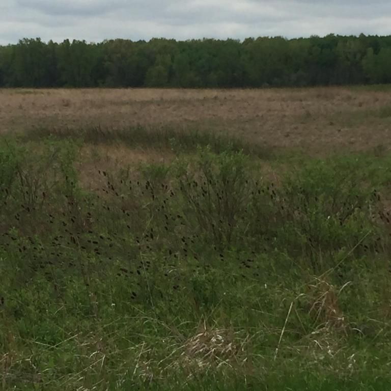 Centerburg, Delaware County, OH for sale Property ID 28221226 LandWatch