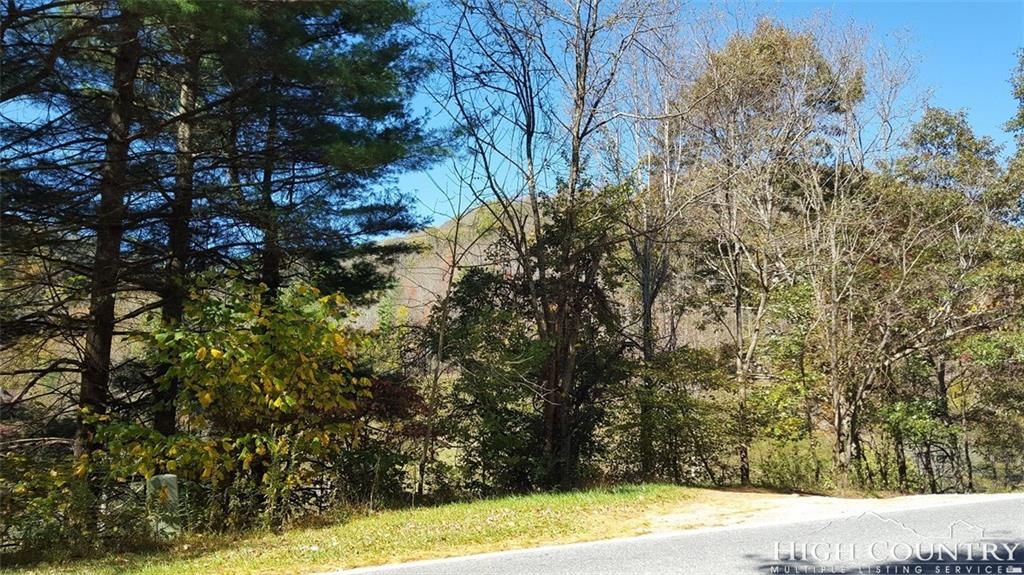 Sugar Grove, Watauga County, NC Undeveloped Land for sale Property ID
