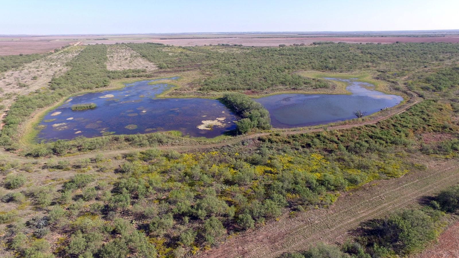 Stamford, Haskell County, TX Farms and Ranches, Recreational Property