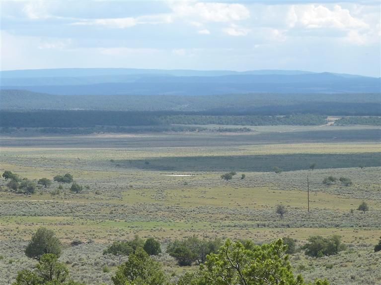 Tierra Amarilla, Rio Arriba County, NM Farms and Ranches for sale