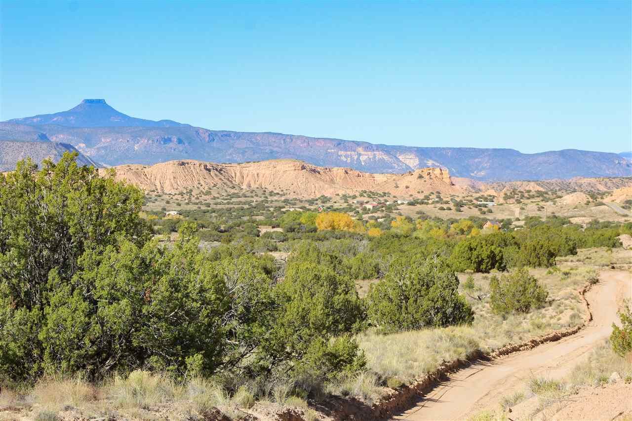 Abiquiu, Rio Arriba County, NM Undeveloped Land for sale Property ID 327471311 LandWatch