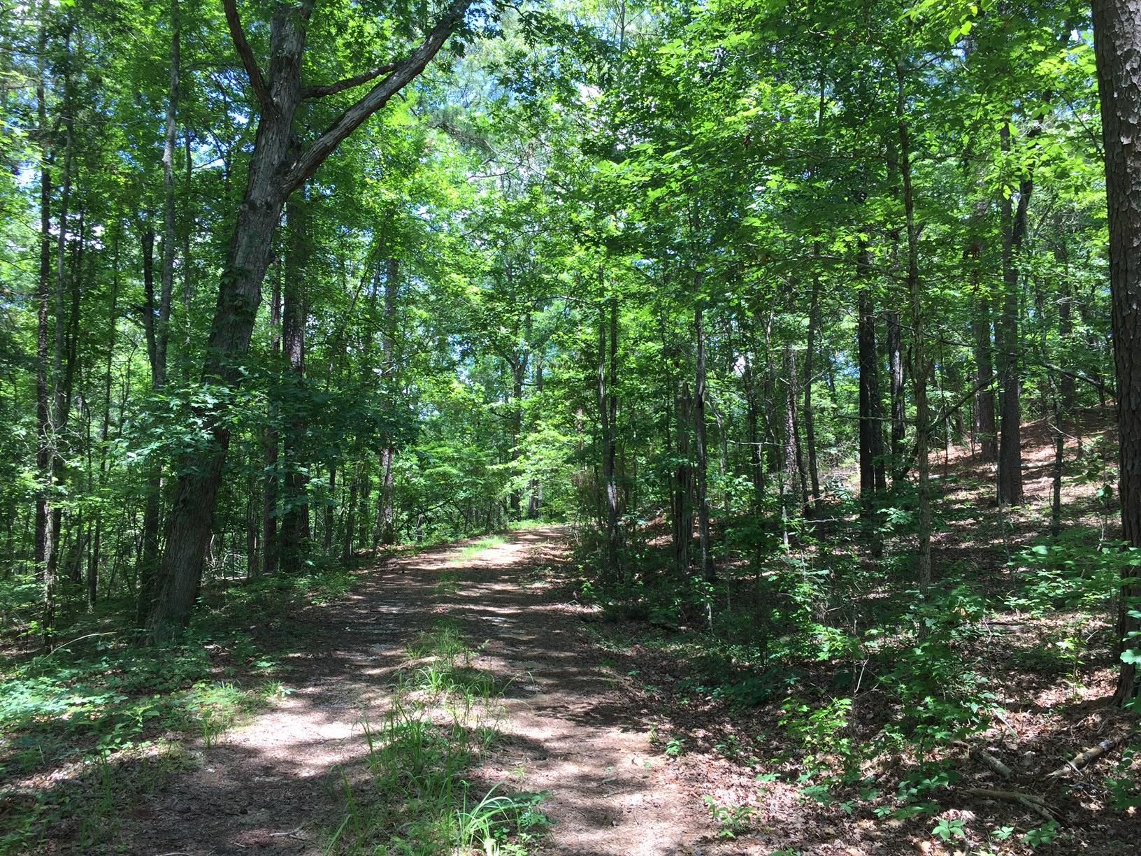 595 acres in Brent, AL, 35034 LandWatch