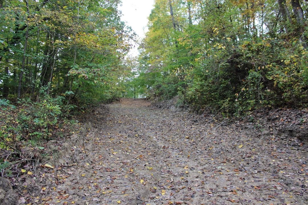 New Straitsville, Perry County, OH Recreational Property, Timberland Property, Hunting Property