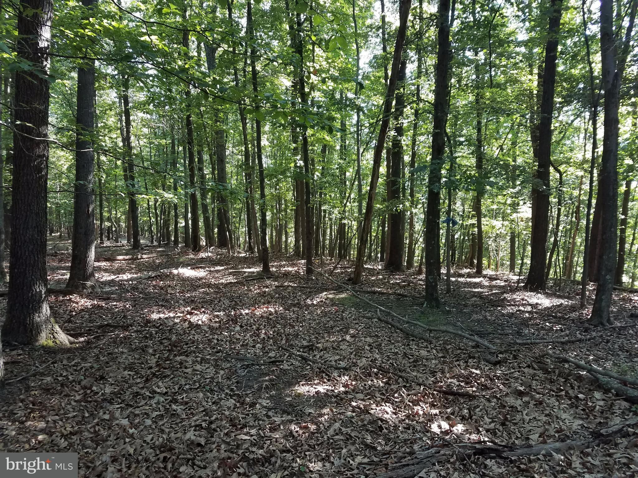 Gerrardstown, Berkeley County, WV Undeveloped Land for sale Property ID