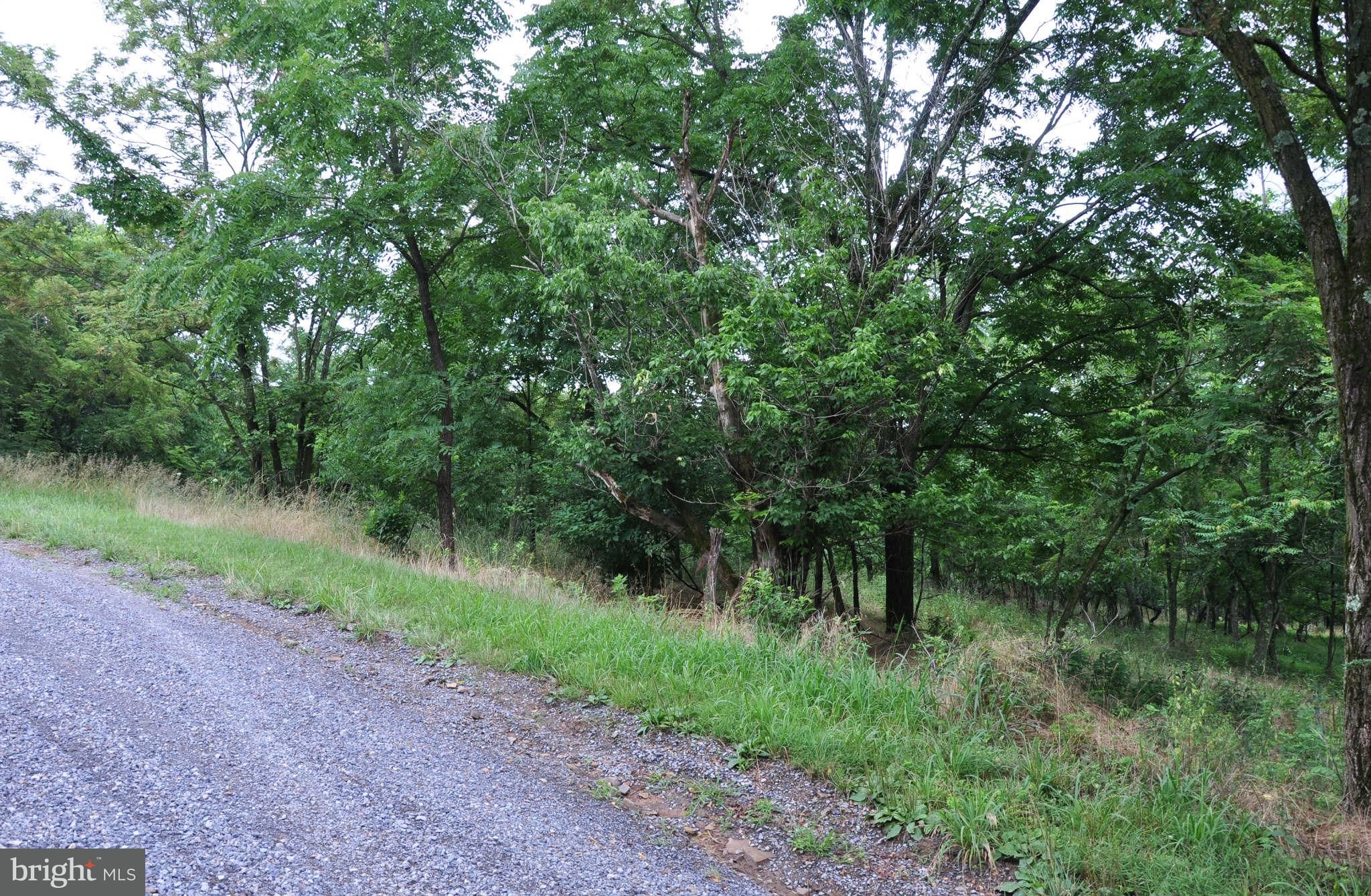 Gore, Frederick County, VA Undeveloped Land for sale Property ID