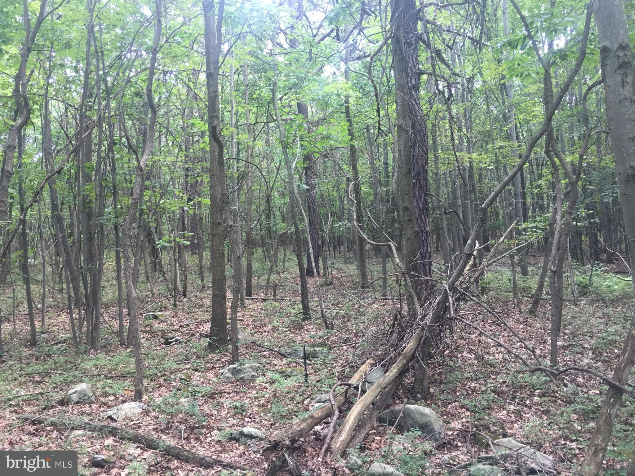 Hopewell, Bedford County, PA Undeveloped Land, Homesites for sale Property ID 334805319 LandWatch