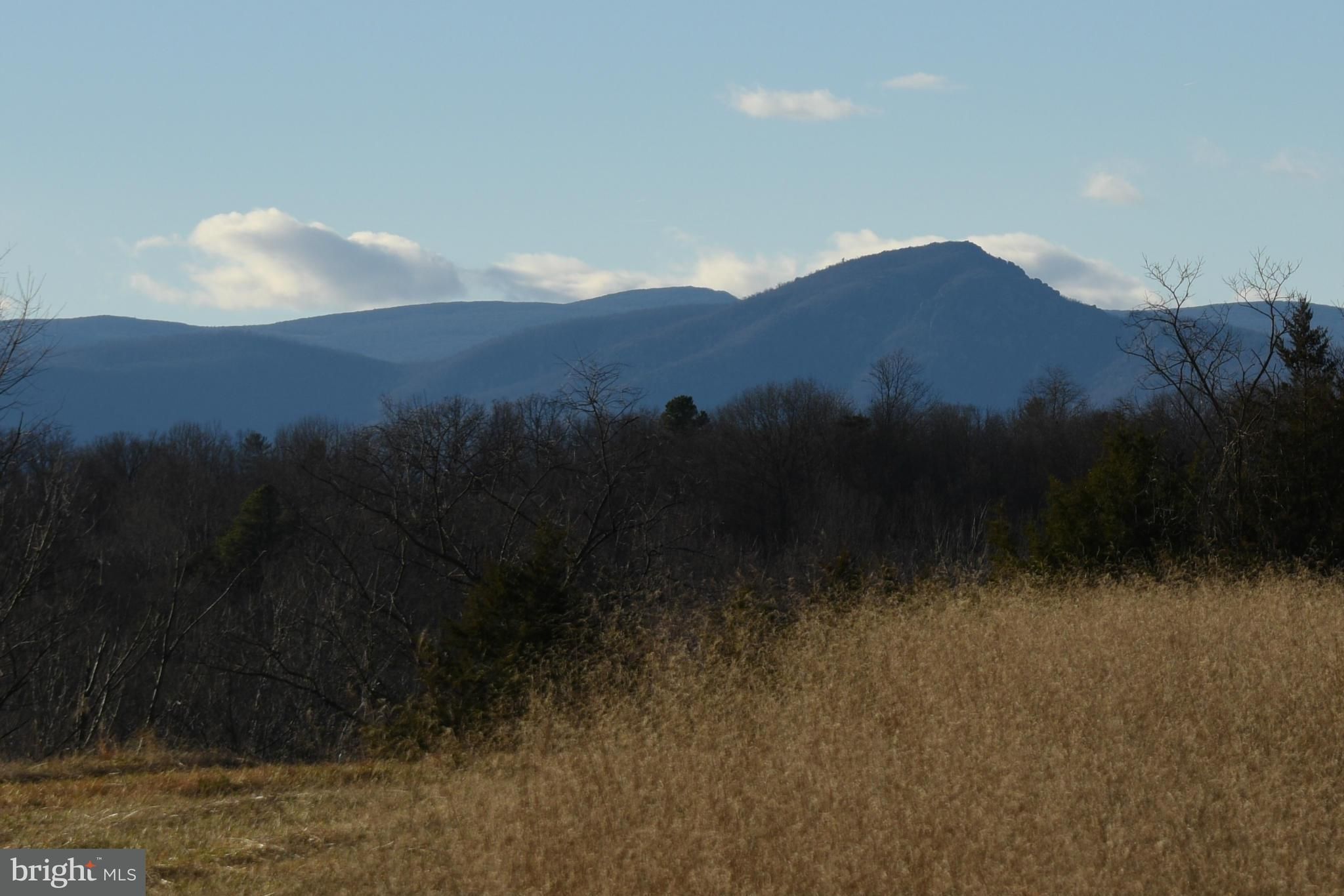 Boston, Culpeper County, VA Recreational Property, Hunting Property