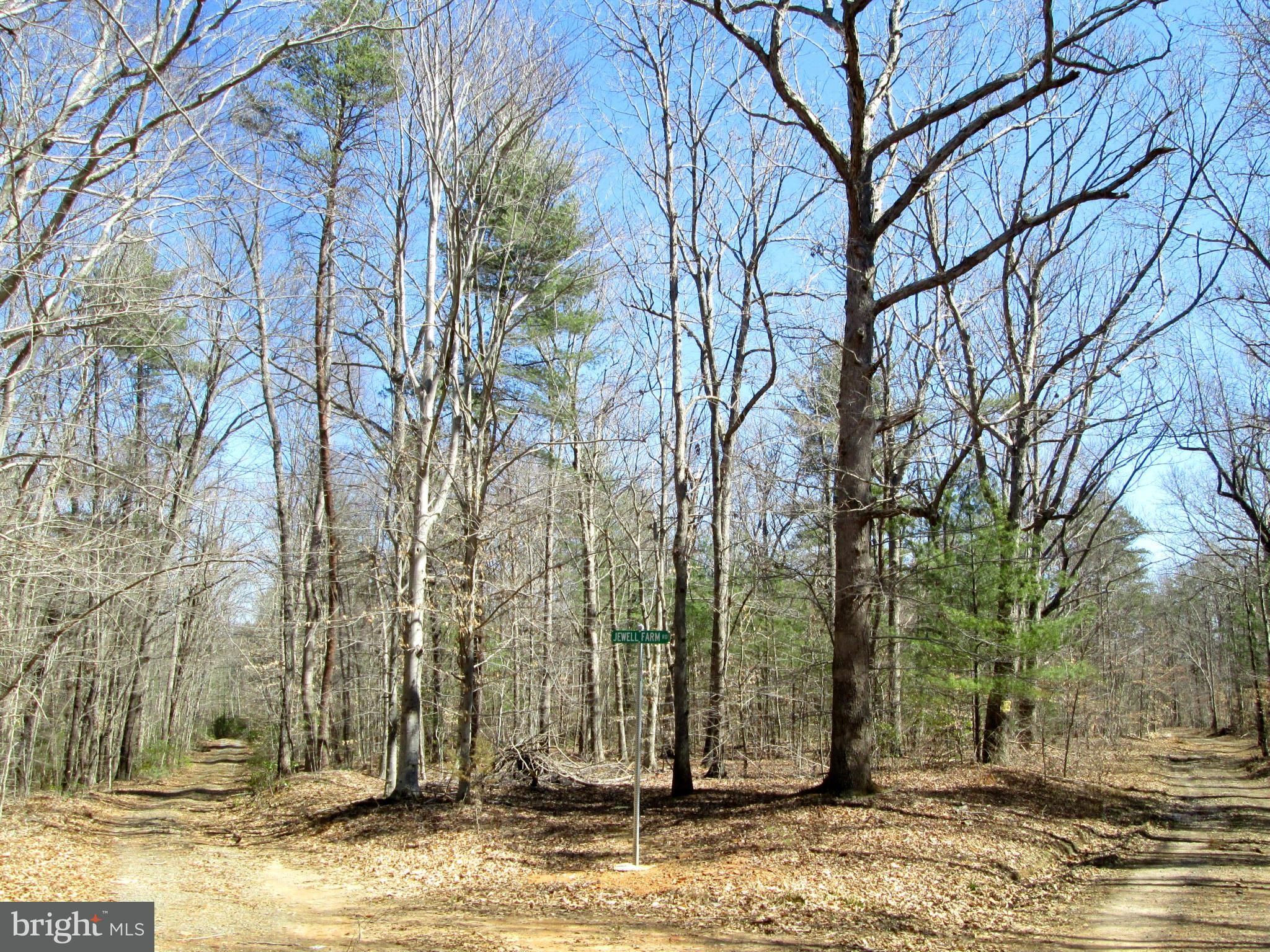 Burr Hill, Orange County, VA for sale Property ID 327638849 LandWatch