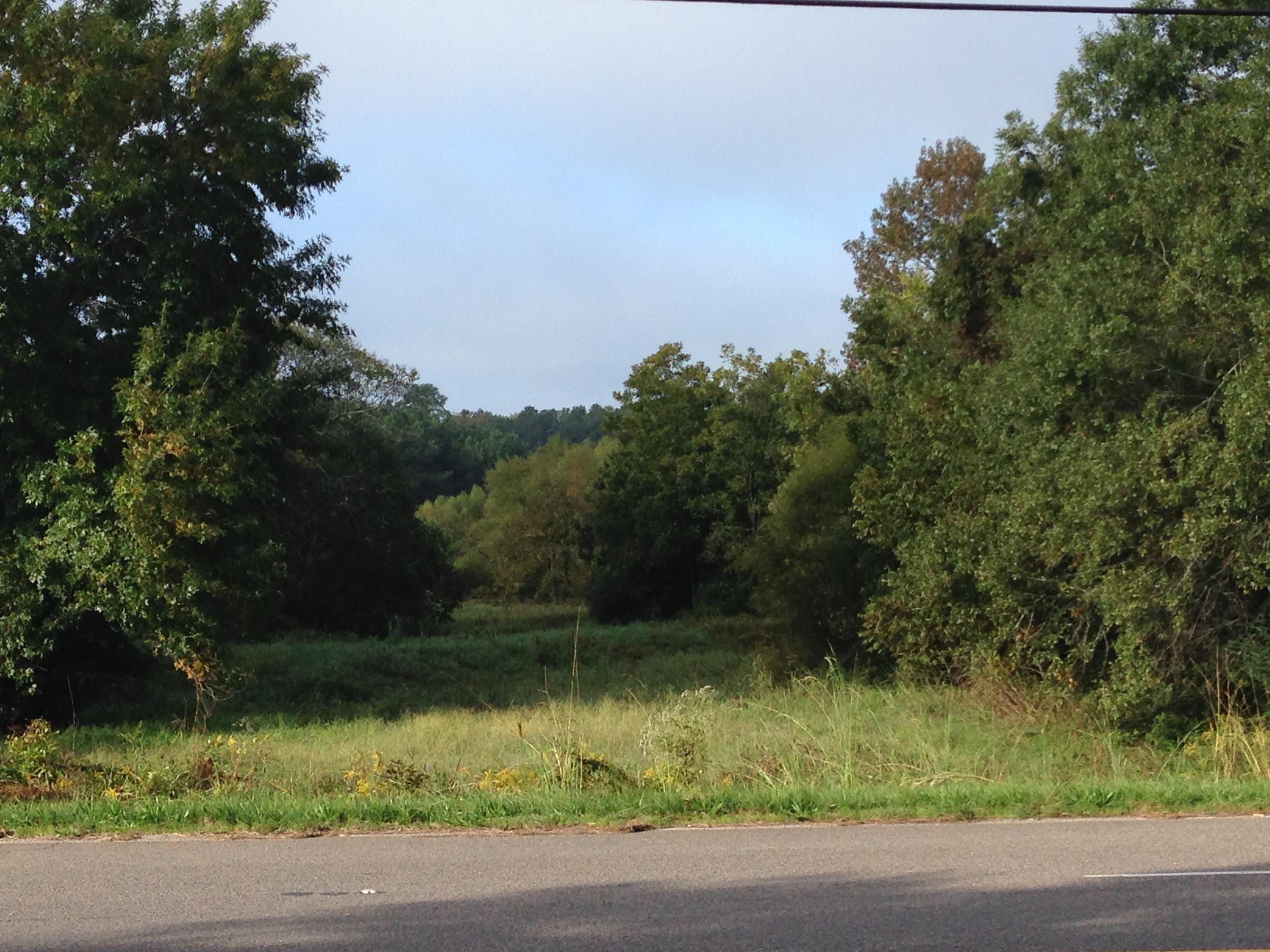 Edgefield, Edgefield County, SC Recreational Property, Commercial Property, Homesites for sale