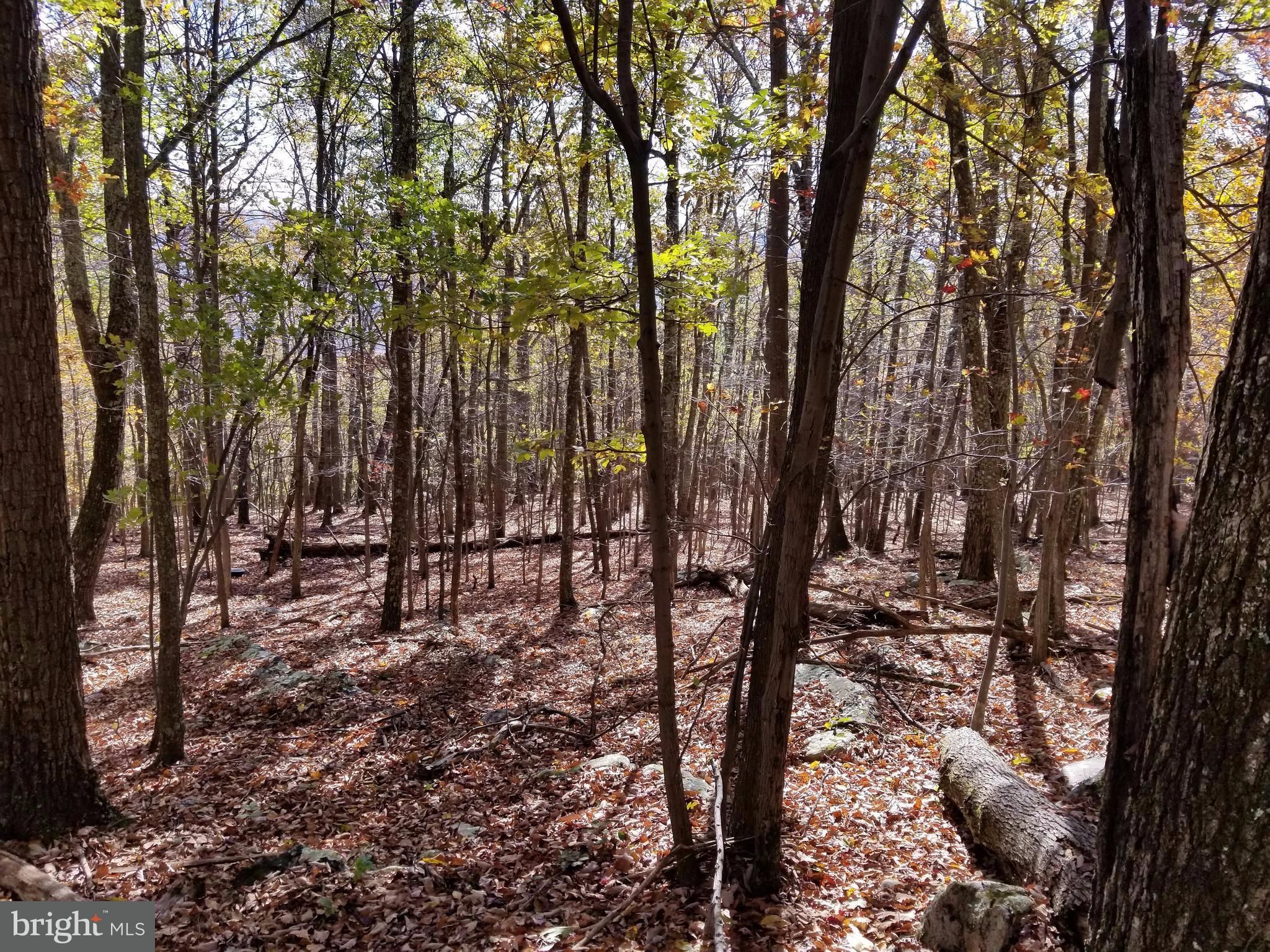 Great Cacapon, County, WV Homesites for sale Property ID 327766816 LandWatch