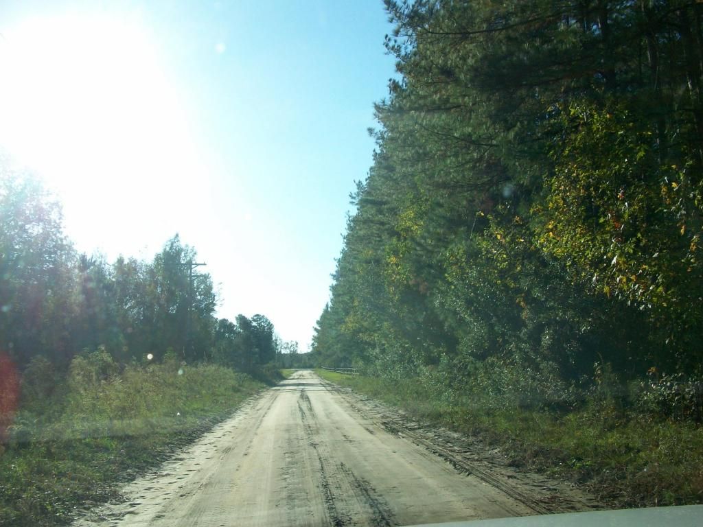 Vance, Orangeburg County, SC Undeveloped Land, Homesites for sale