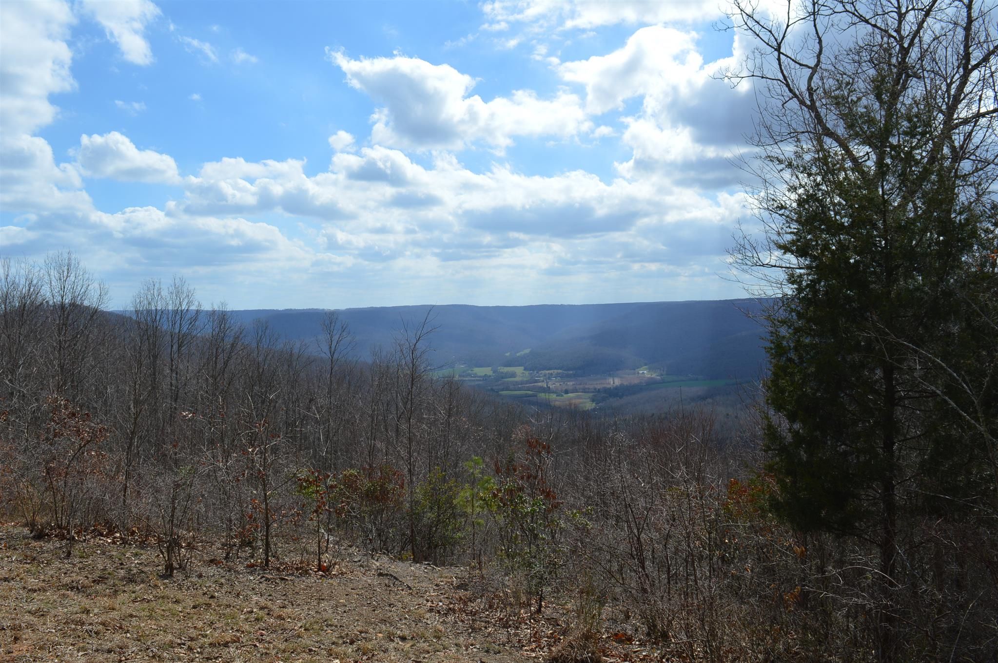 Sewanee, Marion County, TN Undeveloped Land for sale Property ID