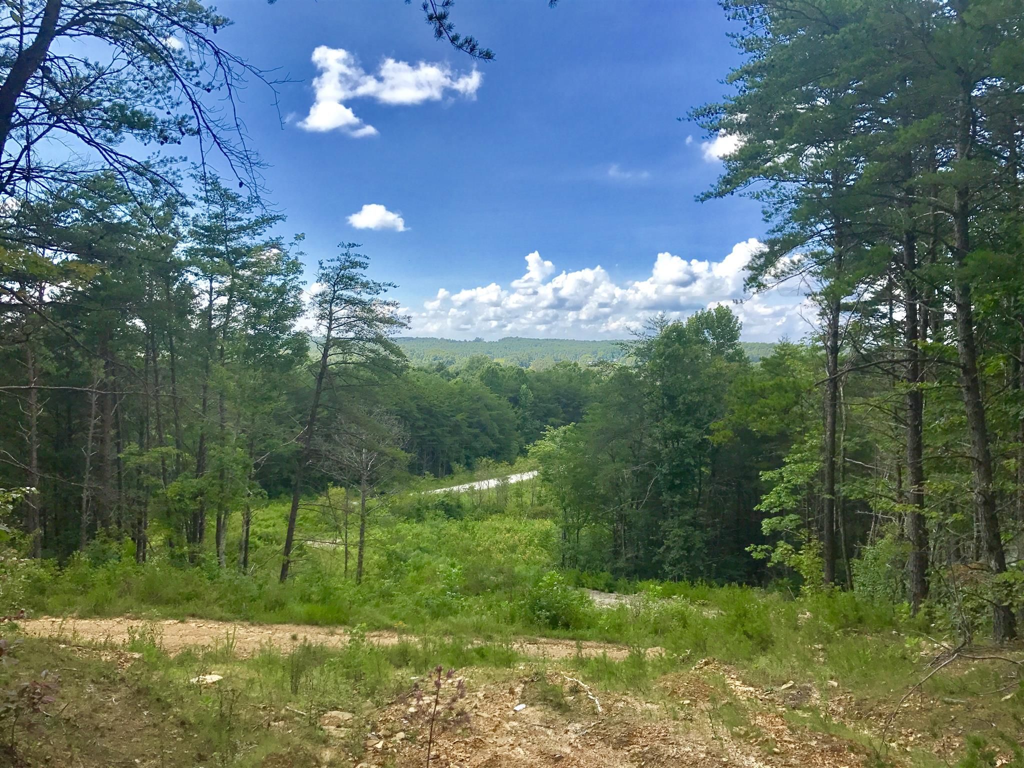Gruetli Laager, Grundy County, TN Undeveloped Land for sale Property ID