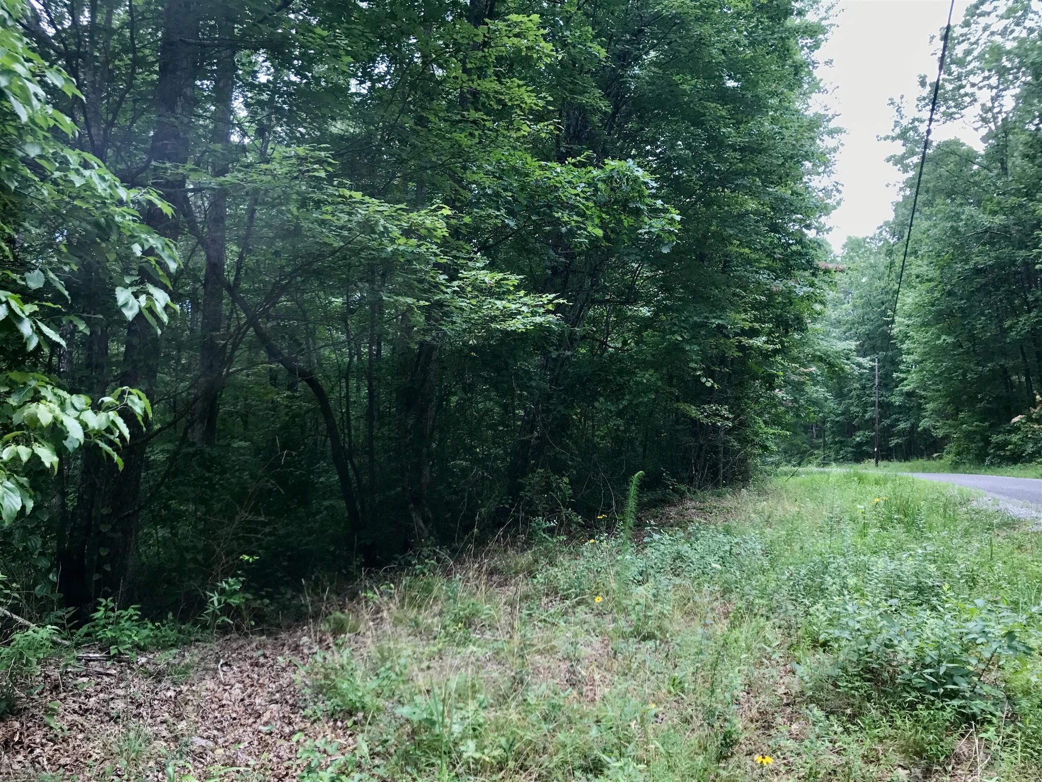Coalmont, Grundy County, TN Undeveloped Land for sale Property ID
