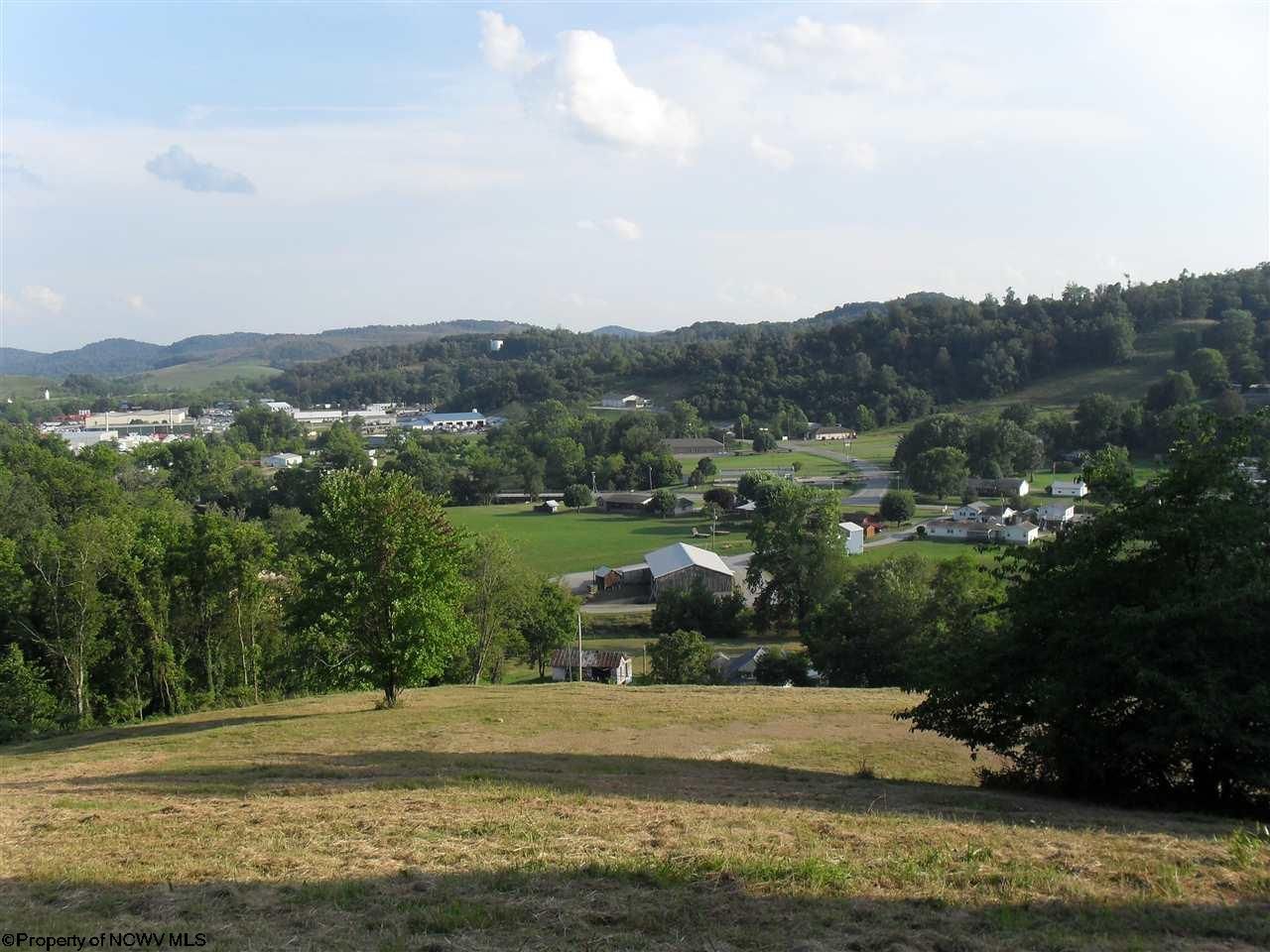 Jane Lew, Lewis County, WV Undeveloped Land for sale Property ID