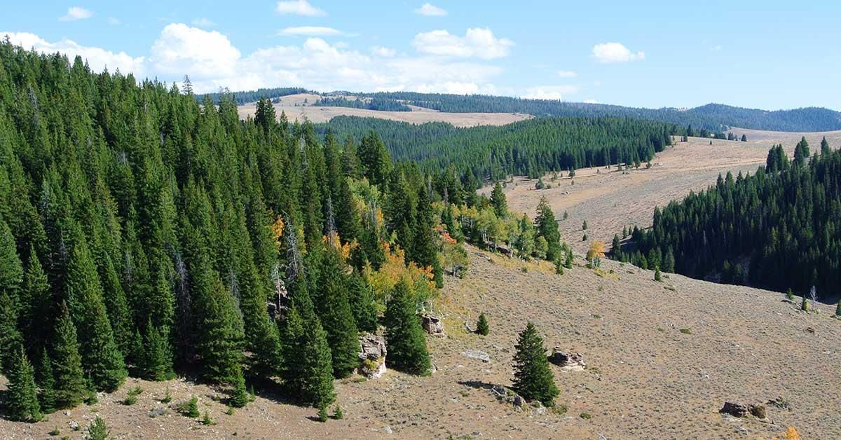 Shell, Big Horn County, WY Farms and Ranches, Recreational Property for sale Property ID