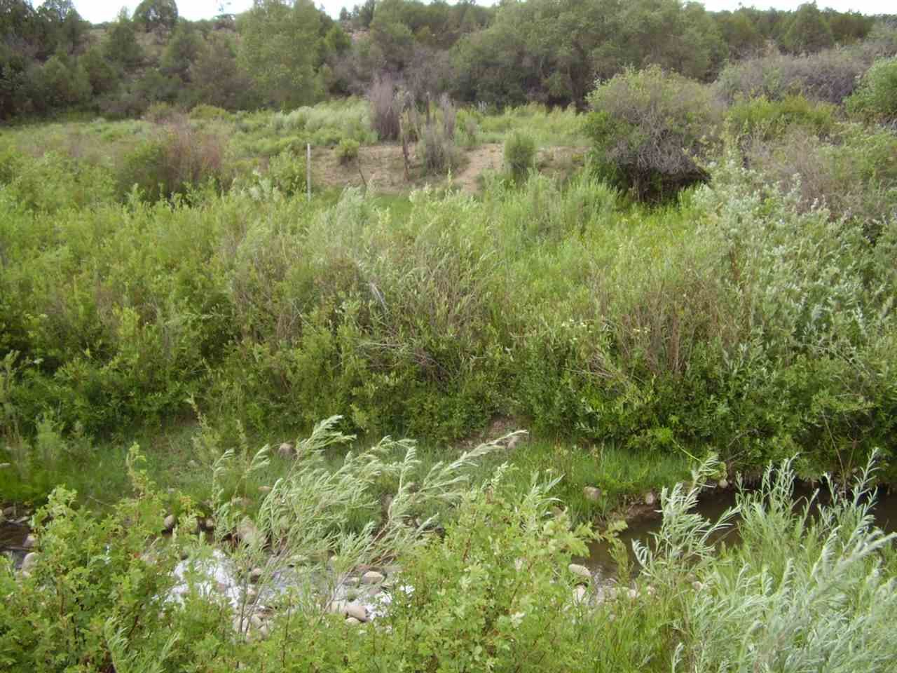 Canjilon, Rio Arriba County, NM Undeveloped Land, Lakefront Property