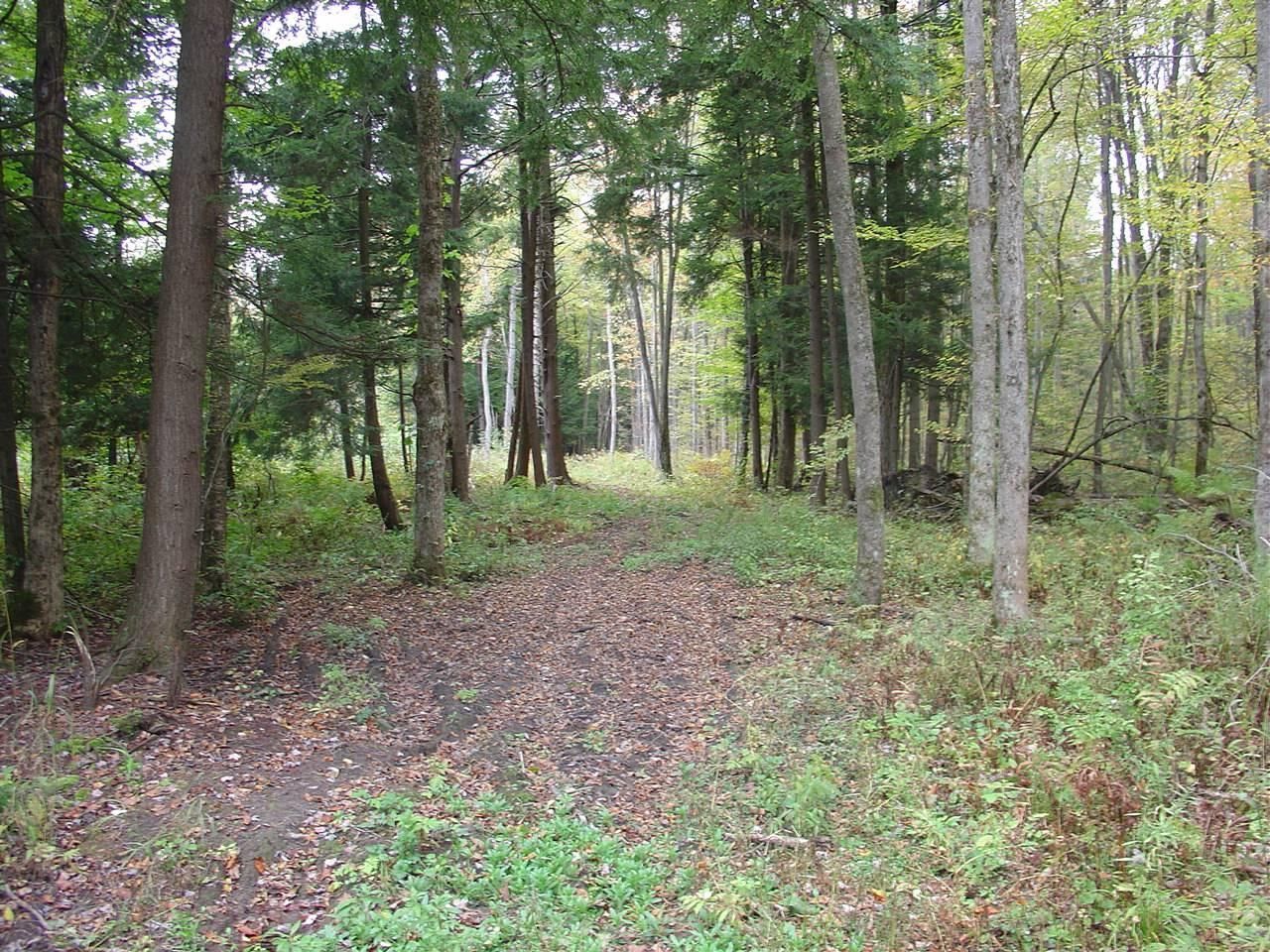 Gerry, Chautauqua County, NY Farms and Ranches for sale Property ID