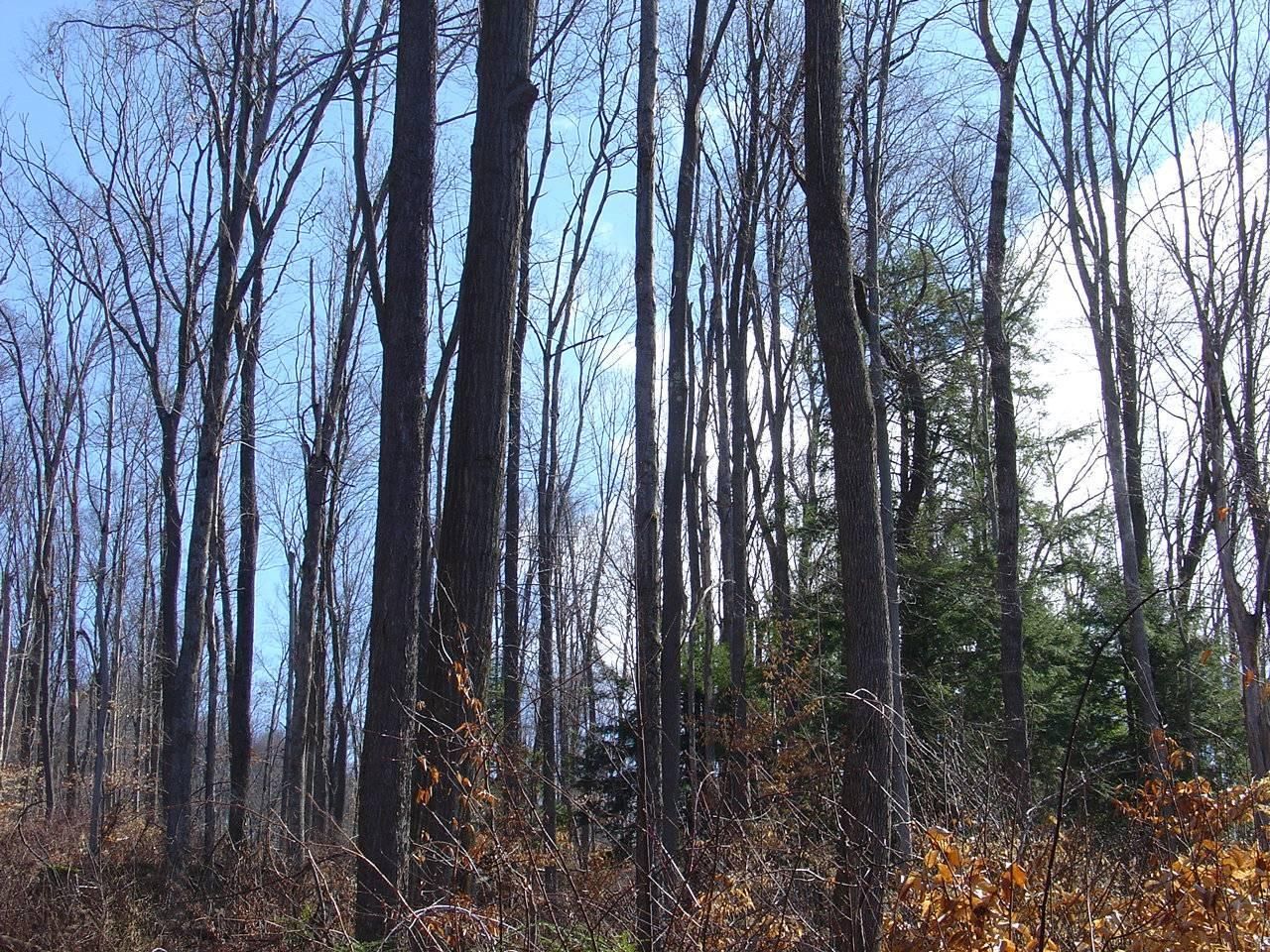 Warren, Warren County, PA Farms and Ranches for sale Property ID