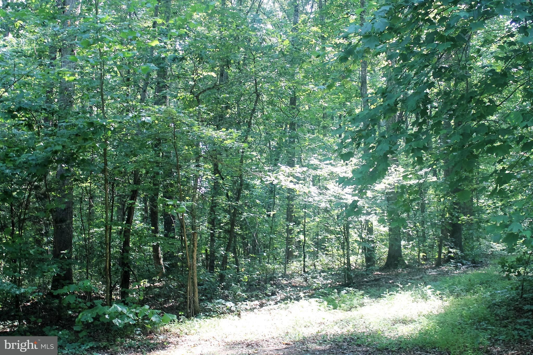 Rhoadesville, Orange County, VA Undeveloped Land for sale Property ID