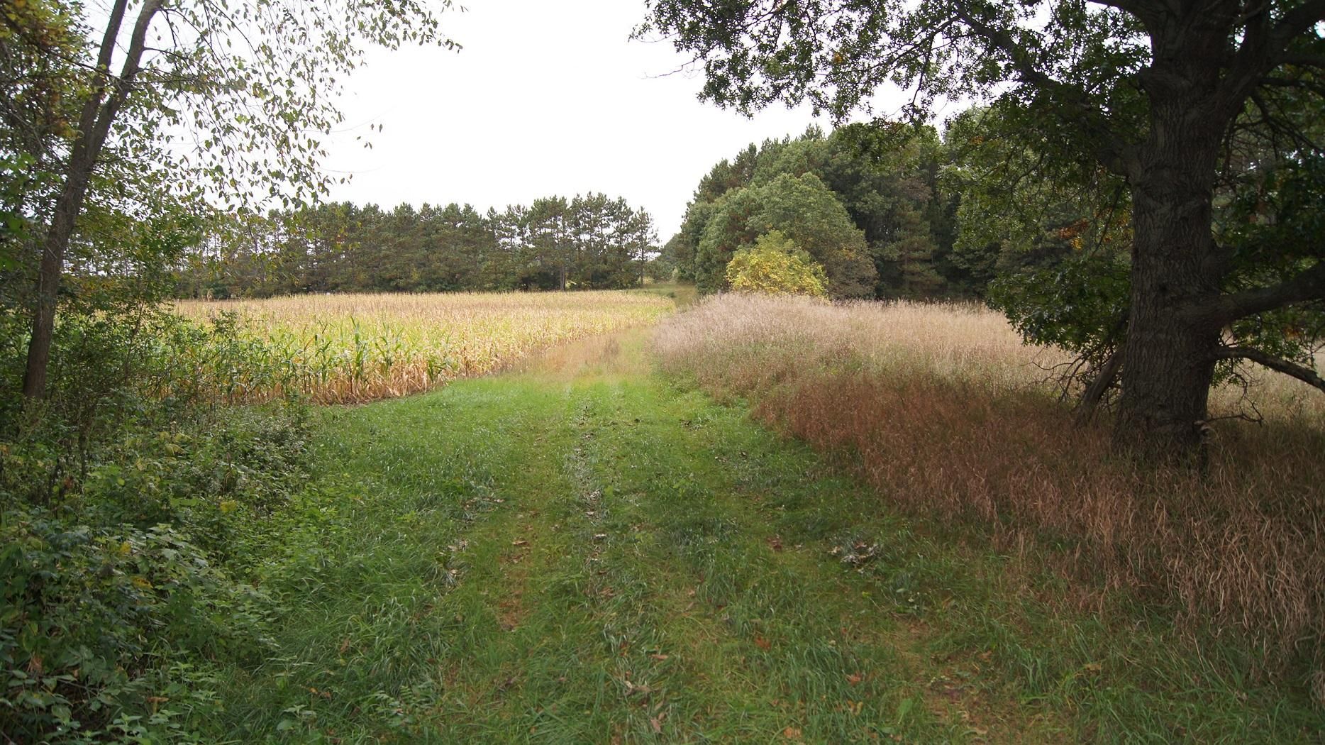 Fountain City, Buffalo County, WI Recreational Property, Undeveloped