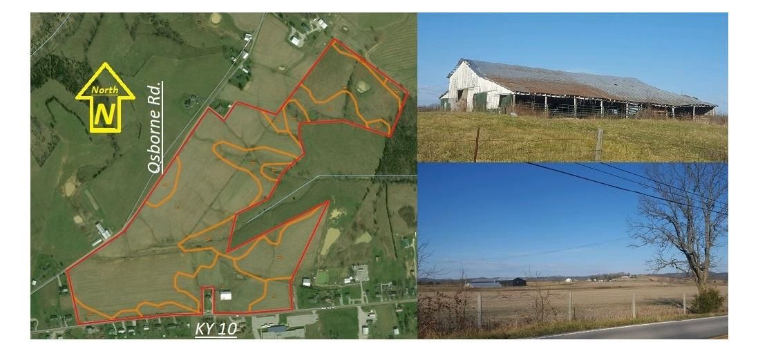 Tollesboro, Lewis County, KY Farms and Ranches for sale Property ID