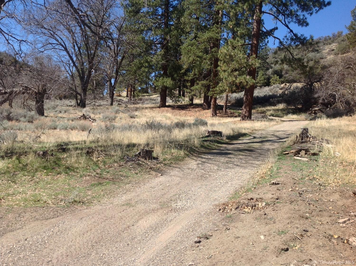 Tehachapi, Kern County, CA Undeveloped Land for sale Property ID